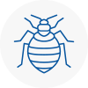 Bed Bug Extermination In Finchley