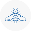 Bee Nest Removal Finchley