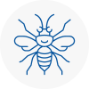 Finchley Hornet Nest Removals