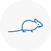 Mice Exterminators In Finchley
