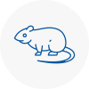 Rat Control Finchley