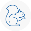 Finchley Rodent Removals