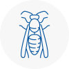Finchley Wasp Nest Removal